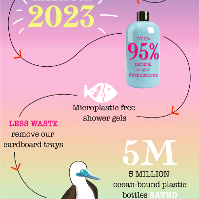 Our Sustainability Timeline